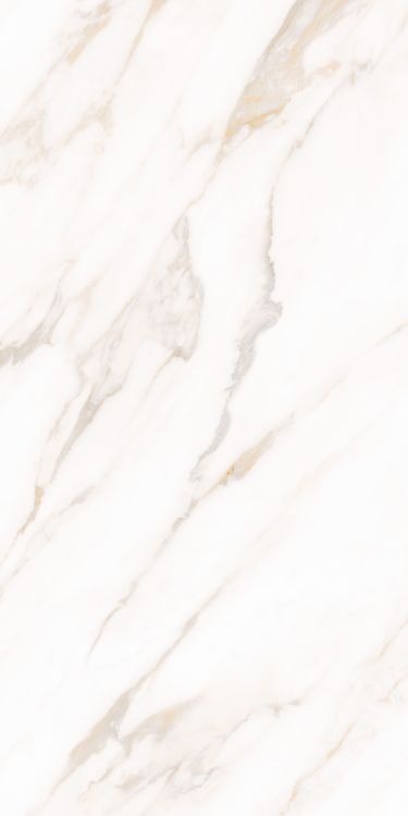 Classy Warm White Matte 24 x 48